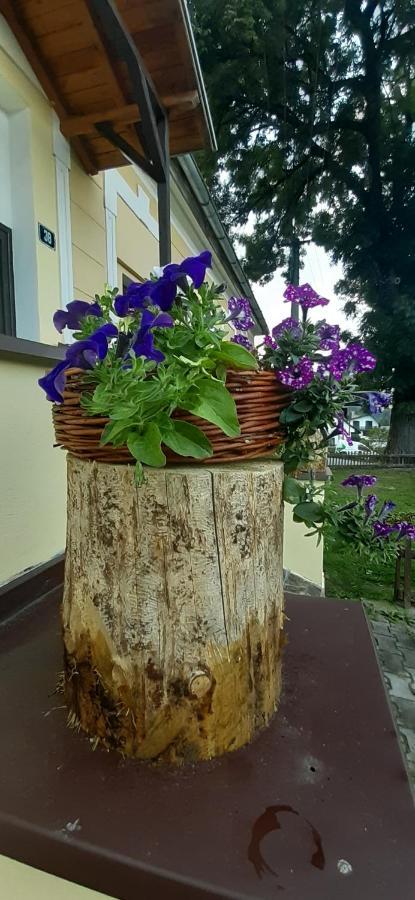 Hotel Penzion U Dračí skaly Svojse Exterior foto